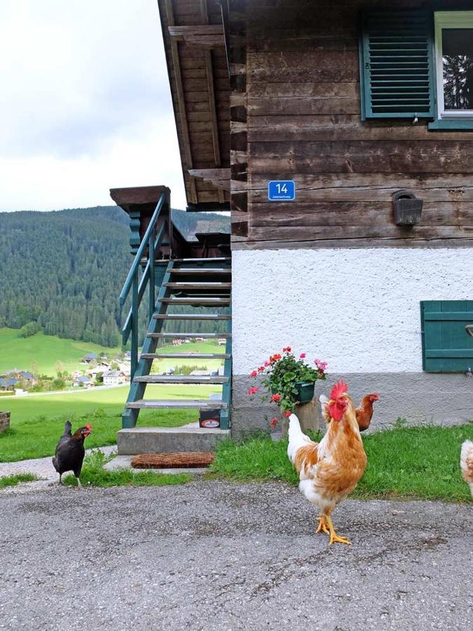 Ferienhaus Asterbach Gosau Zewnętrze zdjęcie