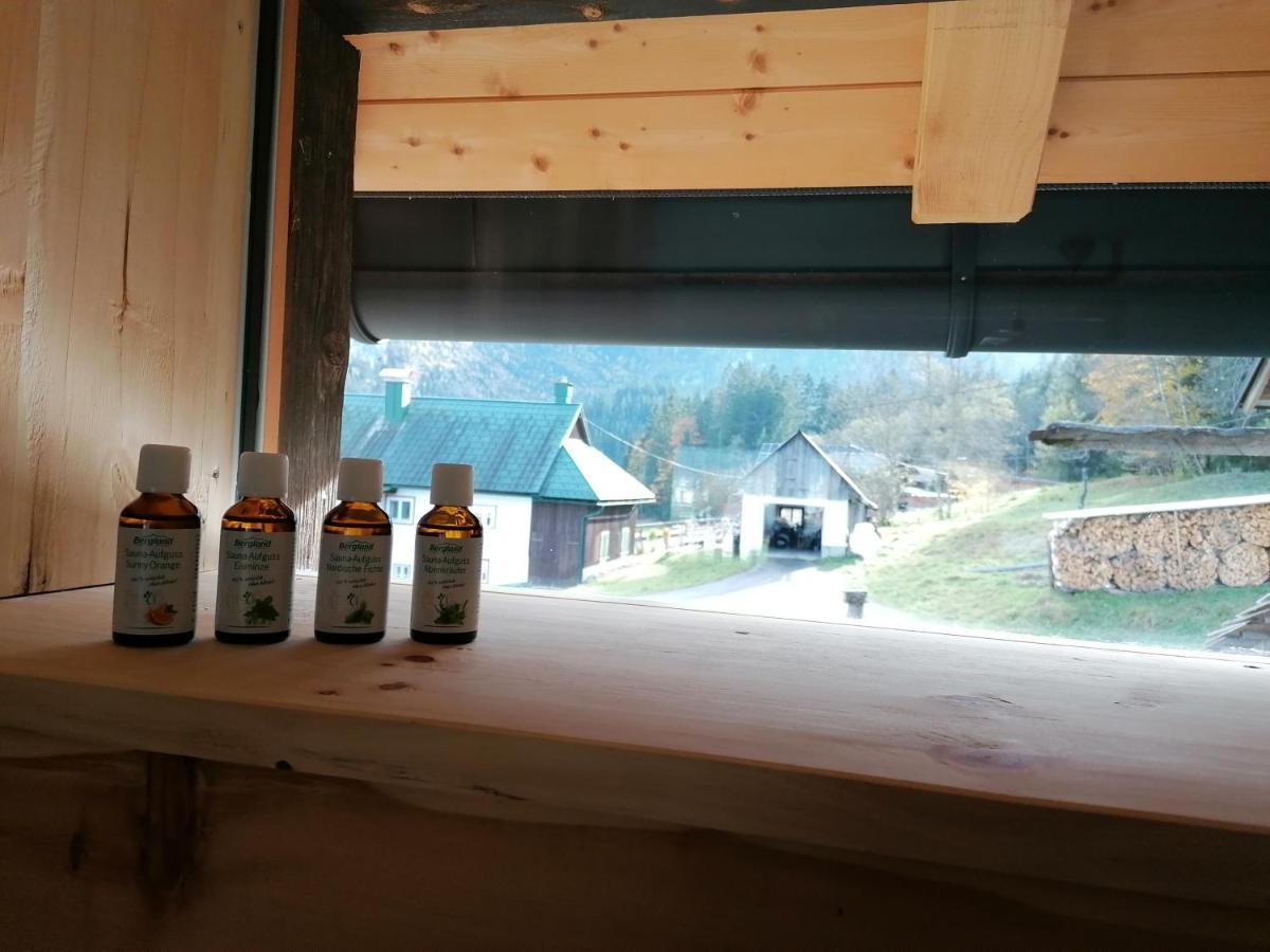 Ferienhaus Asterbach Gosau Zewnętrze zdjęcie