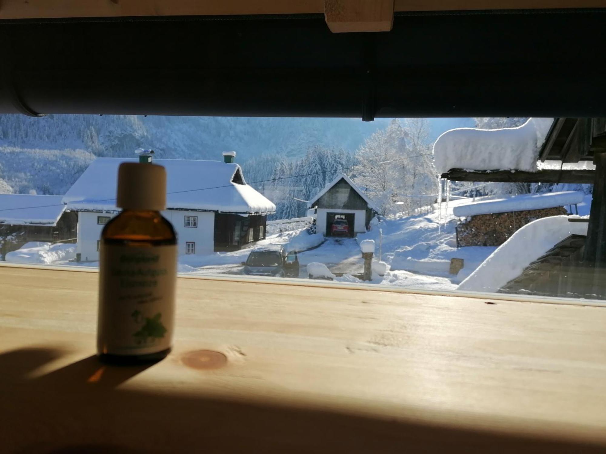 Ferienhaus Asterbach Gosau Zewnętrze zdjęcie